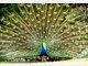 Die Stars im Tierpark Hellabrunn