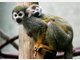 Die Stars im Tierpark Hellabrunn