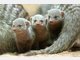 Die Stars im Tierpark Hellabrunn