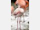 Die Stars im Tierpark Hellabrunn