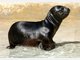 Die Stars im Tierpark Hellabrunn