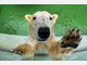Die Stars im Tierpark Hellabrunn