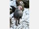 Die Stars im Tierpark Hellabrunn
