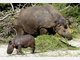 Die Stars im Tierpark Hellabrunn