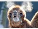 Die Stars im Tierpark Hellabrunn