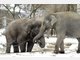 Die Stars im Tierpark Hellabrunn