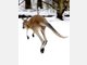 Die Stars im Tierpark Hellabrunn