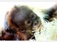 Die Stars im Tierpark Hellabrunn