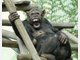 Die Stars im Tierpark Hellabrunn