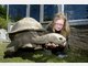 Die Stars im Tierpark Hellabrunn