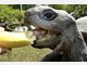 Die Stars im Tierpark Hellabrunn