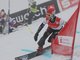 Bilder vom Snowboard-Weltcuprennen am Sudelfeld. &Uuml;ber 600 Zuschauer verfolgten das Finalrennen.