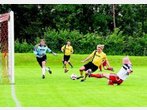Der personifizierte Torriecher