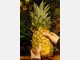 L&uuml;ge 2: Die Ananas-Di&auml;t. Einseitige Programme wie die Ananas-Di&auml;t werden von Fachleuten generell abgelehnt. Auch wenn sich m&ouml;glicherweise in kurzer Zeit ein Gewichtsverlust einstellt - der Jojo-Effekt l&auml;sst nicht auf sich warten.
