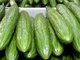 Gurken sind gut für die schlanke Linie, da sie zu 95 Prozent aus Wasser bestehen. Sie enthalten reichlich Vitamine, Mineralstoffe, Enzyme und Spurenelemente. Gurken verbessern die Eiweißverdauung, entwässern, stärken die Organe und beugen Falten vor Gurken sind gut für die schlanke Linie, da sie zu 95 Prozent aus Wasser bestehen. Sie enthalten reichlich Vitamine, Mineralstoffe, Enzyme und Spurenelemente. Gurken verbessern die Eiweißverdauung, entwässern, stärken die Organe und beugen Falten vor
