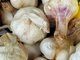 Das Lebenselexier Knoblauch hält bis ins hohe Alter fit, wenn man ihn regelmäßig isst. Er fördert die Durchblutung, senkt hohe Cholesterinwerte und den Blutdruck. Wenn Knoblauch leicht lila ist, verfügt er übrigens über besonders viele Schutzsubstanzen für Herz und Kreislauf Das Lebenselexier Knoblauch hält bis ins hohe Alter fit, wenn man ihn regelmäßig isst. Er fördert die Durchblutung, senkt hohe Cholesterinwerte und den Blutdruck. Wenn Knoblauch leicht lila ist, verfügt er übrigens über besonders viele Schutzsubstanzen für Herz und Kreislauf