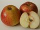 &Auml;pfel enthalten ebenfalls Vitamin C und Kalium. Dazu kommt Eisen. Sie st&auml;rken das Herz, helfen bei zu hohem Blutdruck, senken den Cholsteterinspiegel und regulieren die Darmflora
