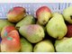 Wussten Sie, dass Birnen ursprünglich aus Asien stammen? Der Apfel-Konkurrent versorgt uns mit viel Flüssigkeit, reinigt den Darm und entschlackt. Birnen enthalten Folsäure, Kalium, Kupfer und Phosphor Wussten Sie, dass Birnen ursprünglich aus Asien stammen? Der Apfel-Konkurrent versorgt uns mit viel Flüssigkeit, reinigt den Darm und entschlackt. Birnen enthalten Folsäure, Kalium, Kupfer und Phosphor