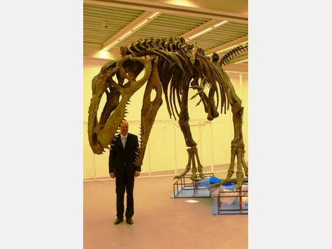 Spektakul&auml;re Dino-Show in Rosenheim - Die Bilder