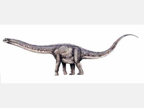 Spektakul&auml;re Dino-Show in Rosenheim - Die Bilder