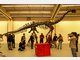 Spektakul&auml;re Dino-Show in Rosenheim - Die Bilder