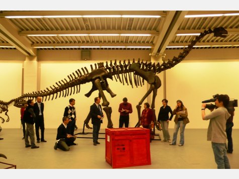 Spektakul&auml;re Dino-Show in Rosenheim - Die Bilder
