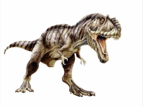 Spektakul&auml;re Dino-Show in Rosenheim - Die Bilder