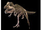 Spektakul&auml;re Dino-Show in Rosenheim - Die Bilder