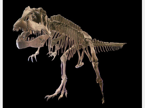 Spektakul&auml;re Dino-Show in Rosenheim - Die Bilder