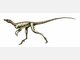 Spektakul&auml;re Dino-Show in Rosenheim - Die Bilder