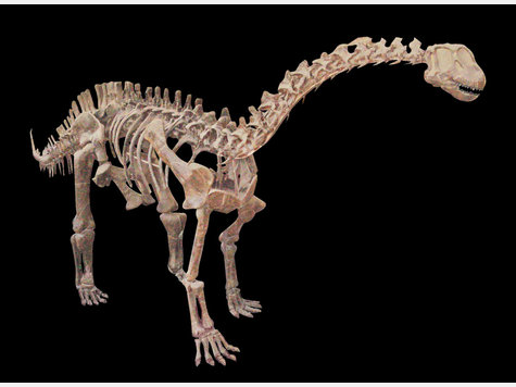 Spektakul&auml;re Dino-Show in Rosenheim - Die Bilder