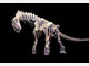 Spektakul&auml;re Dino-Show in Rosenheim - Die Bilder