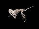 Spektakul&auml;re Dino-Show in Rosenheim - Die Bilder