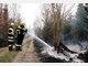 Waldbrand zerst&ouml;rt 25 Hektar in Gr&auml;felfing