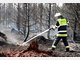 Waldbrand zerst&ouml;rt 25 Hektar in Gr&auml;felfing