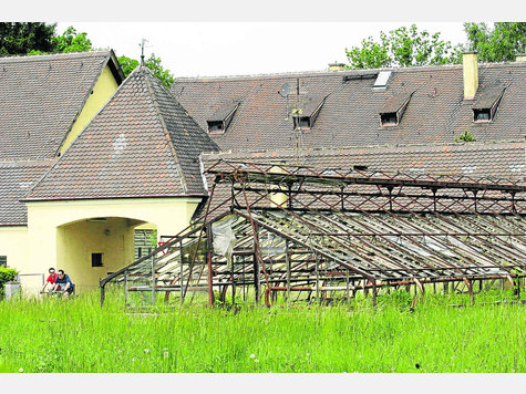 Verfallen und verwildert: Jahrzehntelang passierte am Kräutergarten so gut wie nichts. Foto: hab Verfallen und verwildert: Jahrzehntelang passierte am Kräutergarten so gut wie nichts. Foto: hab