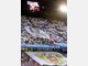 Die besten Fan-Choreographien in Europas Stadien
