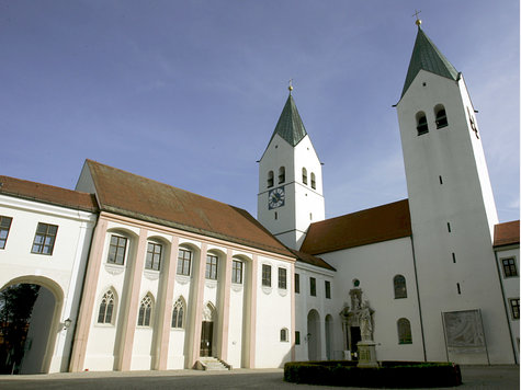 In der Bibliothek des Freisinger Doms wurde gefährlicher Schimmel entdeckt. In der Bibliothek des Freisinger Doms wurde gefährlicher Schimmel entdeckt.