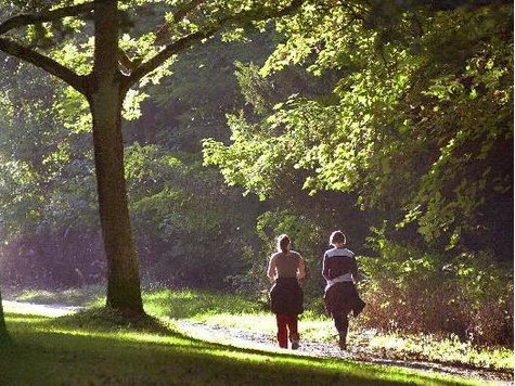 Eine Frau stand vor Gericht, weil sie angeblich durch lautstarke Waldspaziergänge den Jägern das Wild absichtlich vor der Flinte vertreibt. Eine Frau stand vor Gericht, weil sie angeblich durch lautstarke Waldspaziergänge den Jägern das Wild absichtlich vor der Flinte vertreibt.