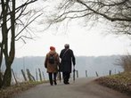 Frischluft, Walking, und Taiga-Wurzel