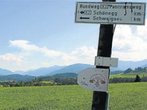 Rundtour bei Rottenbuch für Familien: Melken mit Aussicht