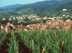 Frankreich: Die Vogesen - Natur und Genuss