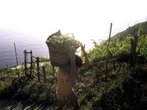 Italien - Eine Genussreise durch Liguriens Bergdörfer