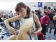 Weltmeisterschaft der Hunde-Coiffeure