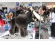 Weltmeisterschaft der Hunde-Coiffeure