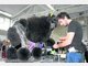 Weltmeisterschaft der Hunde-Coiffeure