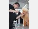 Weltmeisterschaft der Hunde-Coiffeure