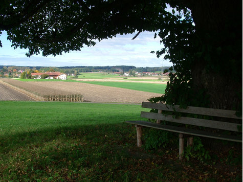 Durch dieses heute landwirtschaftlich genutze Gebiet führt die geplante Grafinger Ostumfahrung. Foto: Robert langer Durch dieses heute landwirtschaftlich genutze Gebiet führt die geplante Grafinger Ostumfahrung. Foto: Robert langer
