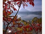 Genusswanderungen für den goldenen Oktober: Wo der Herbst am schönsten ist