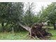 Sturm w&uuml;tet im Landkreis Weilheim-Schongau